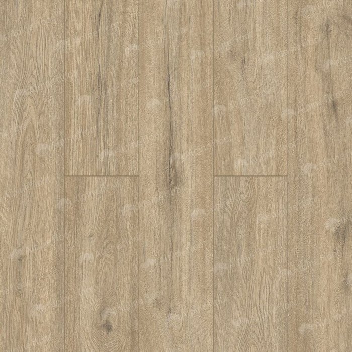 Виниловый пол Alpine Floor Solo Plus SPC 4 мм Анданте ЕСО 14-1001